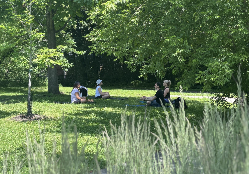 Proches aidants : Activité spéciale méditation PPA